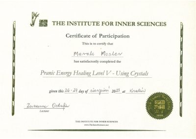 Pranic-Energy-Healing-Level-V